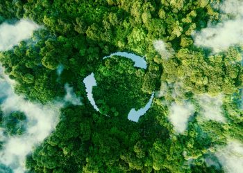 To #BeatPlasticPollution this World Environment Day, we must listen to the consumer