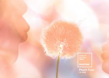 Pantone introduces Pantone Color of the Year 2024: PANTONE 13-1023 Peach Fuzz