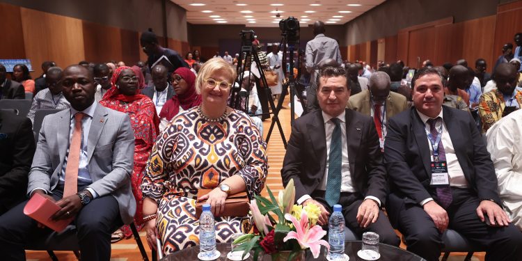 Furniture, paper and forestry products industry turned its export route to Mauritania and Senegal