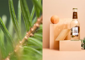 UPM Raflatac Showcases Its New Carbon Action Label Portfolio at Labelexpo 2024