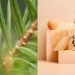 UPM Raflatac Showcases Its New Carbon Action Label Portfolio at Labelexpo 2024